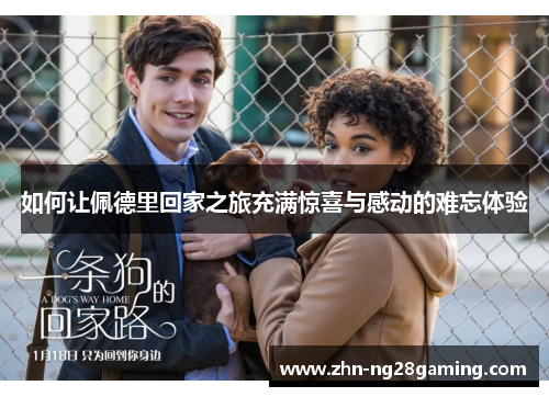 如何让佩德里回家之旅充满惊喜与感动的难忘体验