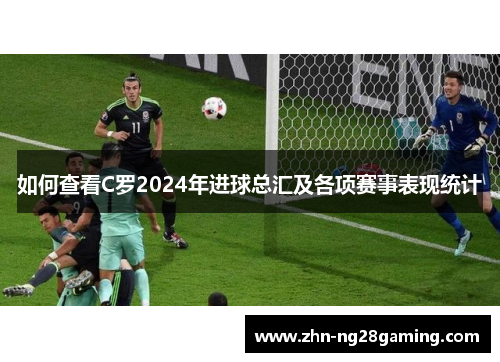 如何查看C罗2024年进球总汇及各项赛事表现统计