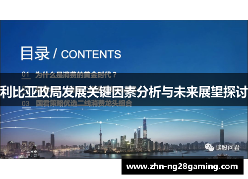 利比亚政局发展关键因素分析与未来展望探讨