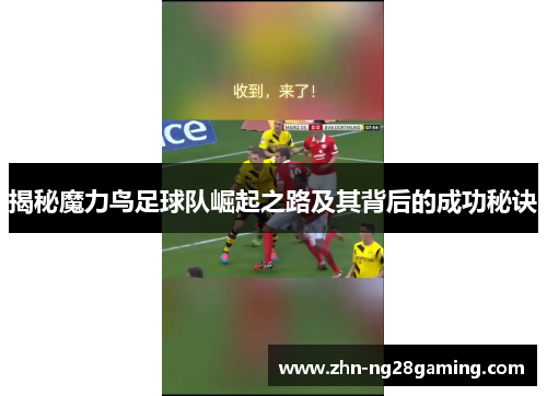 揭秘魔力鸟足球队崛起之路及其背后的成功秘诀