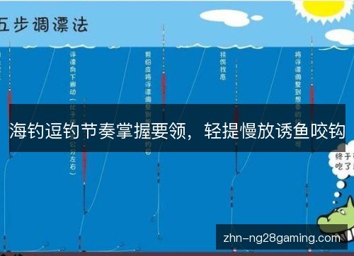海钓逗钓节奏掌握要领，轻提慢放诱鱼咬钩